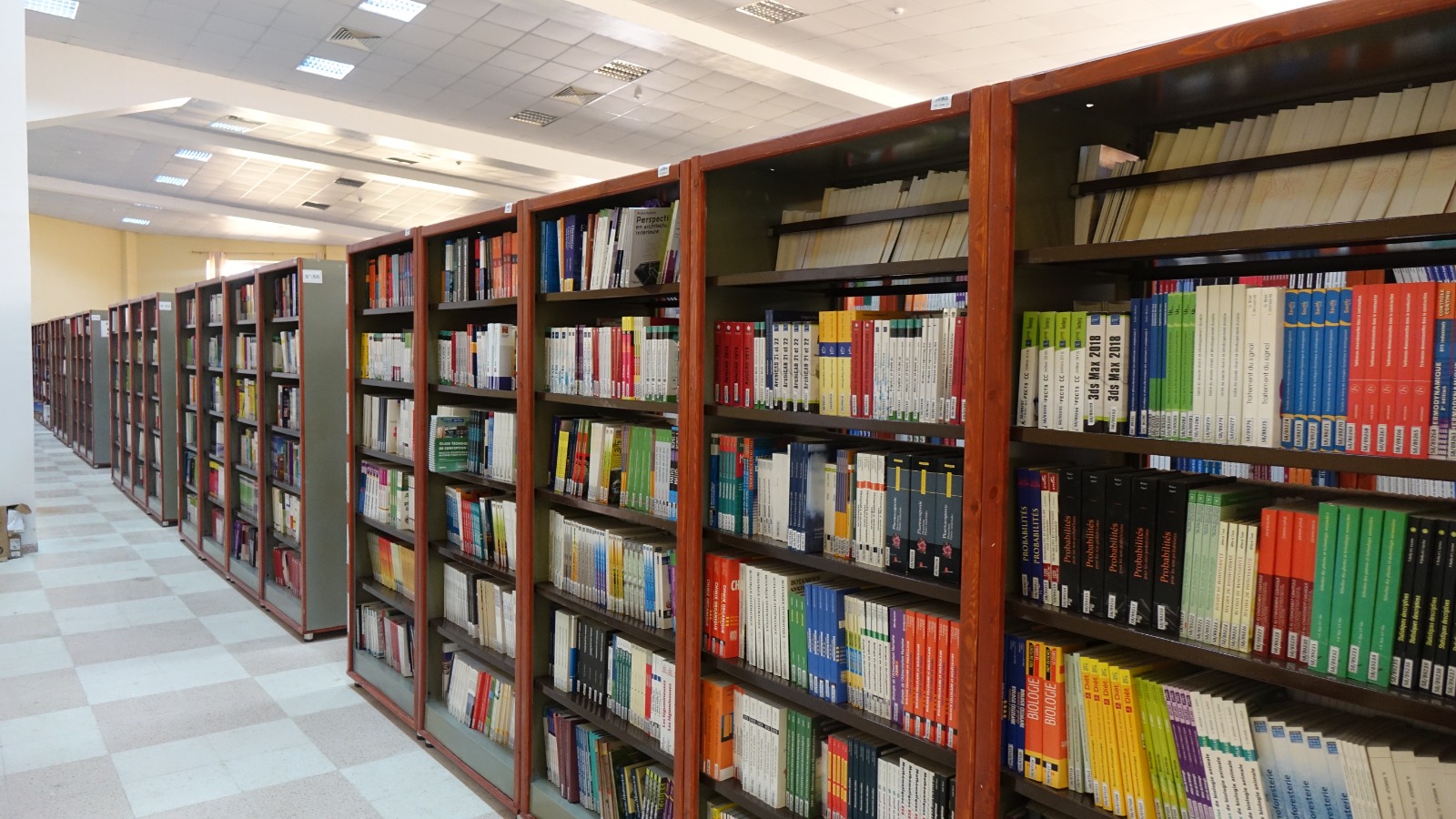 Library